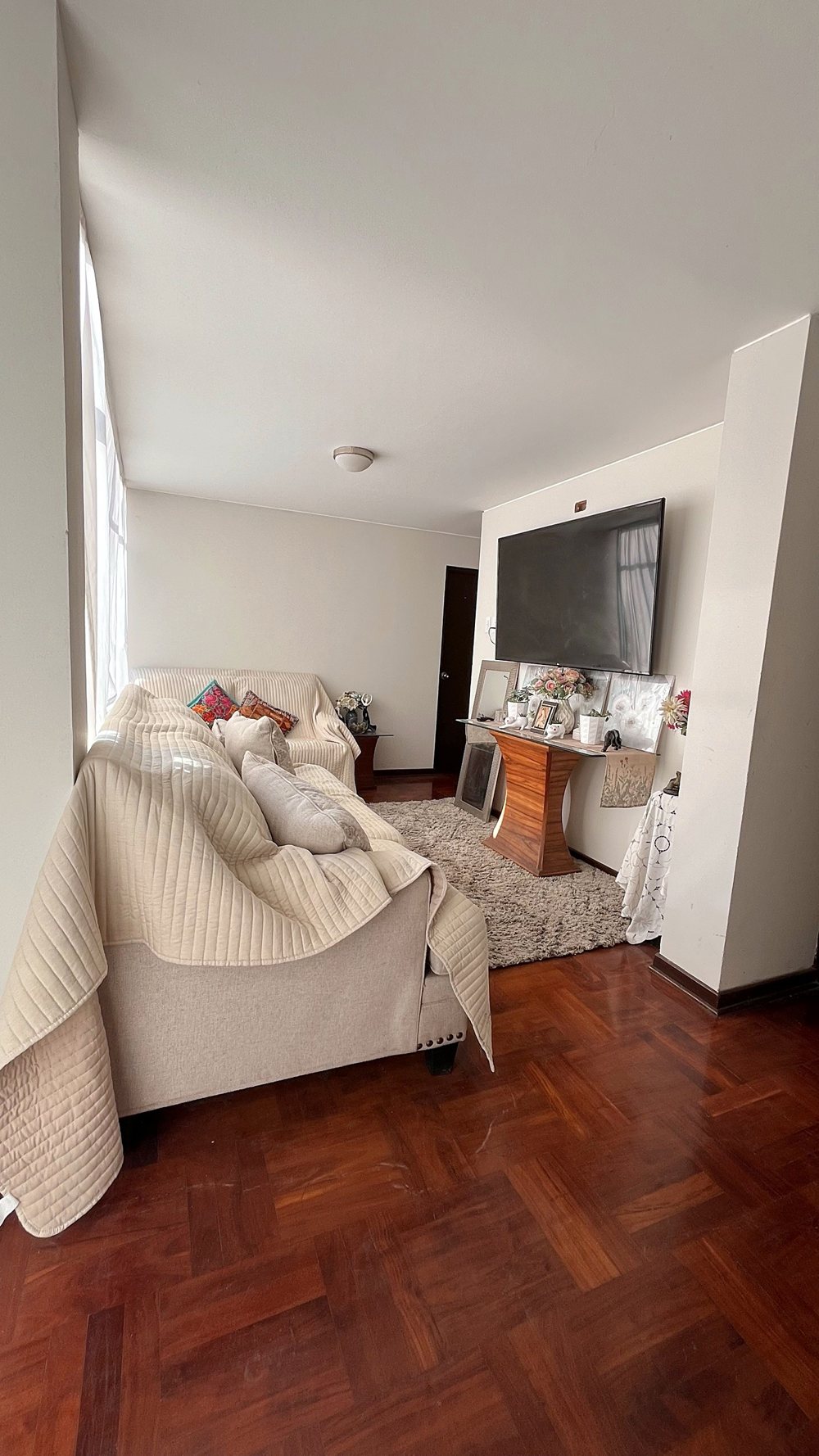 Sala con sofás, televisor y piso de parquet