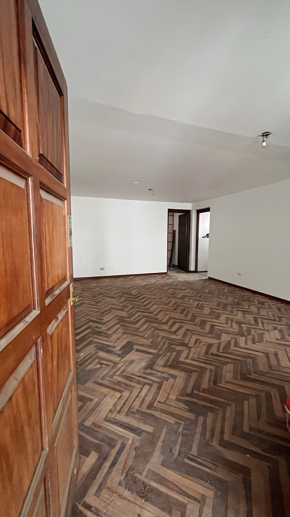 Ambiente amplio con puerta de madera